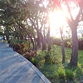 201006063040.jpg