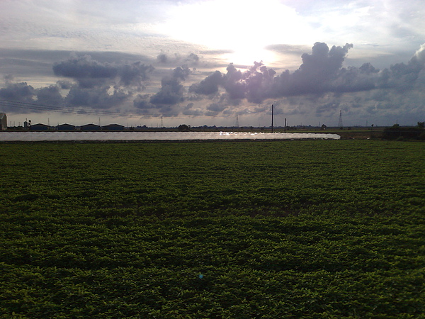 201006213410.jpg