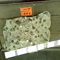 201008094097.jpg