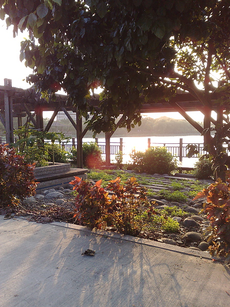 201006063032.jpg