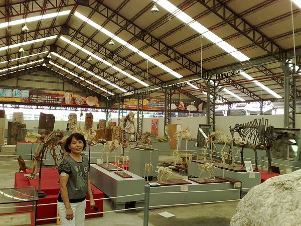 201008094082.jpg