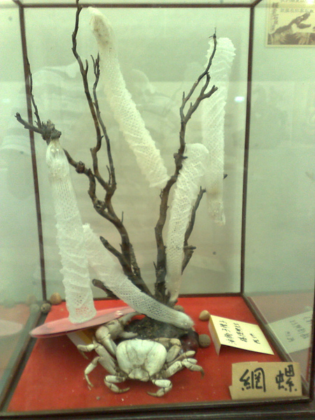 201008094102.jpg