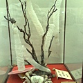 201008094102.jpg