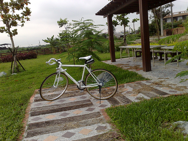 201006042997.jpg