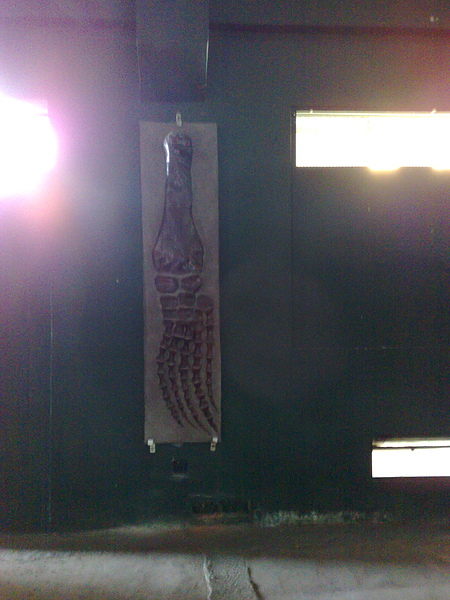 201008094091.jpg