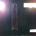 201008094091.jpg