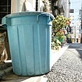 homeless_cat_993v0336-x.jpg