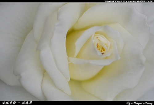 459997815_77d4fcb3f8.jpg
