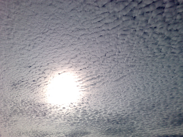 201007023480.jpg
