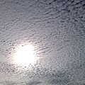201007023480.jpg