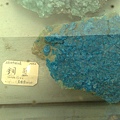201008094110.jpg
