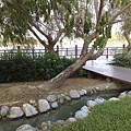 201006063024.jpg