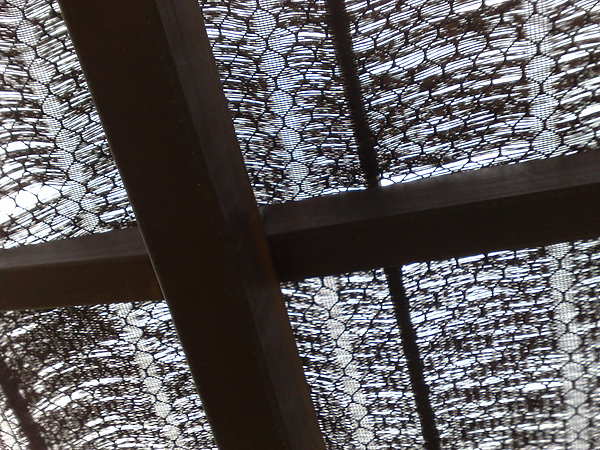 201006042995.jpg