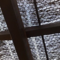 201006042995.jpg