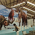 201008094077.jpg