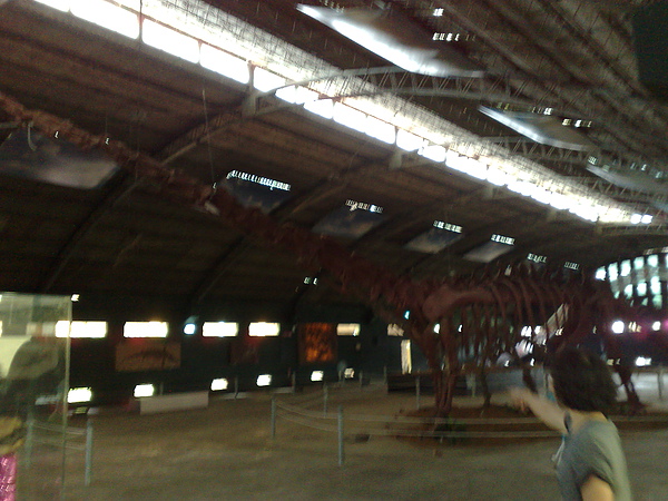 201008094085.jpg