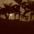 201007163744.jpg