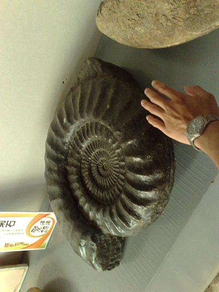 201008094084.jpg