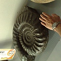 201008094084.jpg