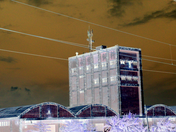 201007113657.jpg
