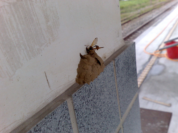 201007053542.jpg