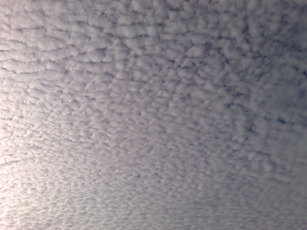 201007023481.jpg
