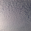 201007023481.jpg