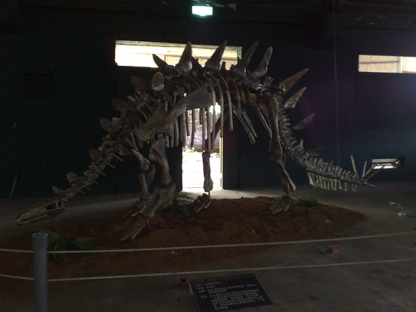 201008094087.jpg