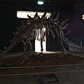 201008094087.jpg
