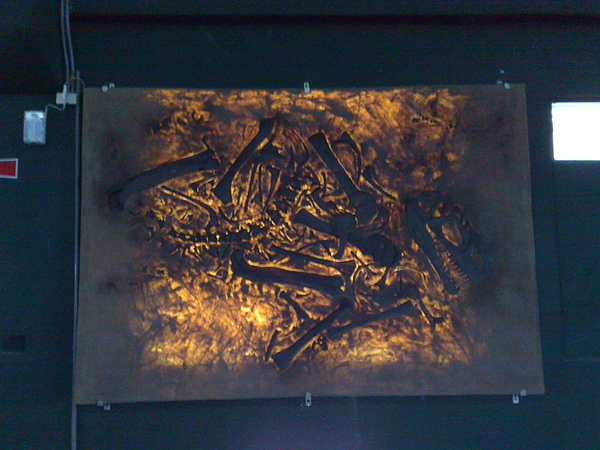 201008094086.jpg