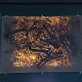 201008094086.jpg