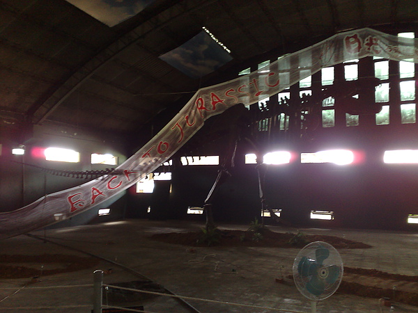 201008094088.jpg