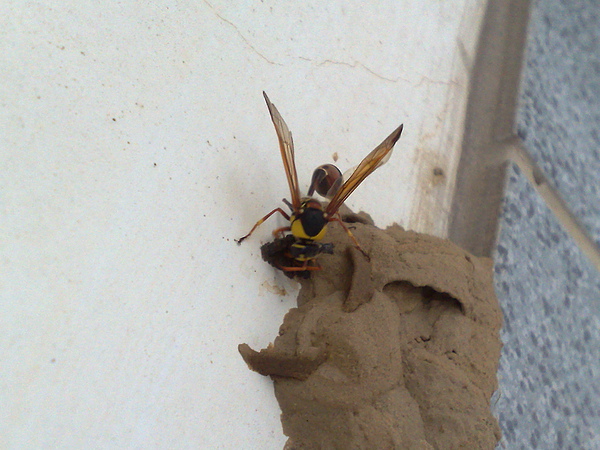 201007053544.jpg