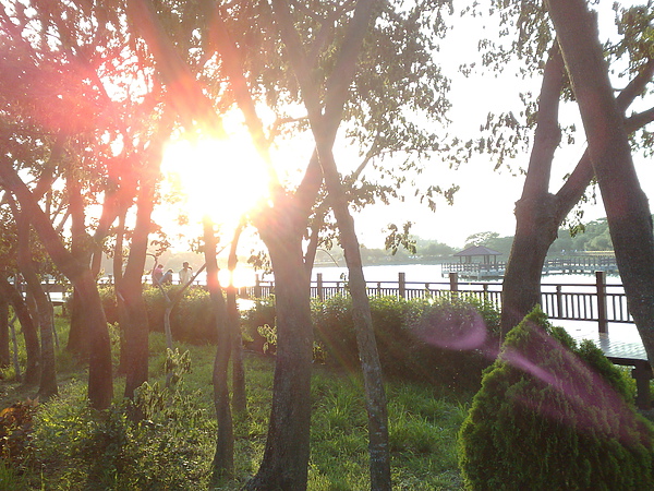 201006063038.jpg