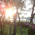 201006063038.jpg