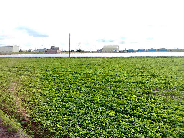 201006213413.jpg