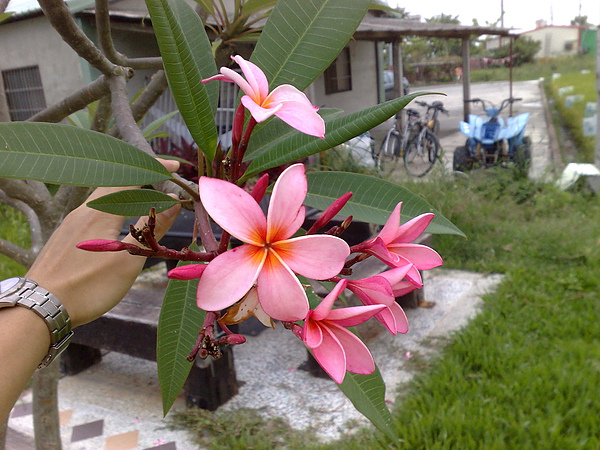 201006042988.jpg