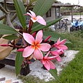 201006042988.jpg
