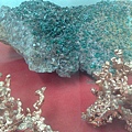 201008094113.jpg