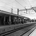 201007113663.jpg