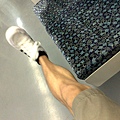 201007133675.jpg