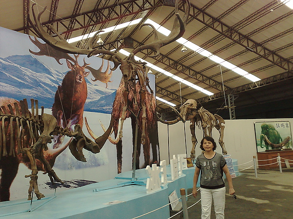 201008094078.jpg