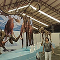 201008094078.jpg