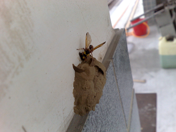201007053543.jpg