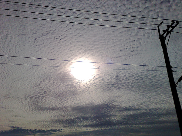 201007023479.jpg