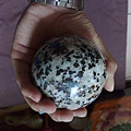 201008104127.jpg