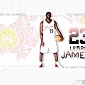 lbj31si