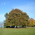 Autumn07 023.jpg