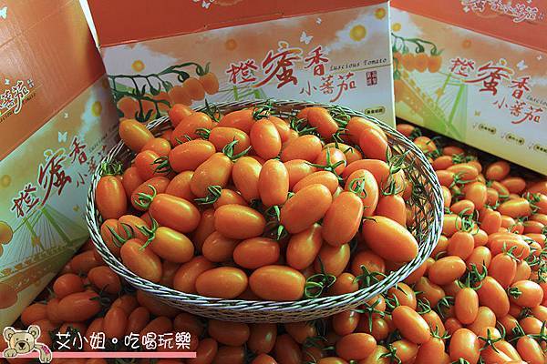呂家番茄 1.JPG 呂家番茄 1.JPG