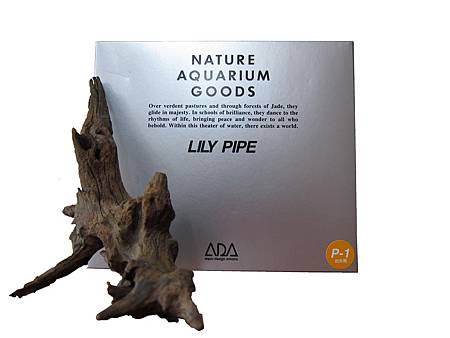 小小水草造景缸 給自已最佳進步獎 厚臉皮xd Ada Mini P1杯型出水口 Ada S號尖頭水草夾 入手 我的小小水草造景缸 痞客邦
